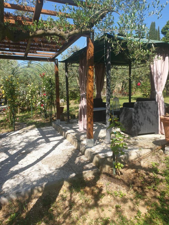 Casa Vacanze L'Oliveta Siena Exterior foto