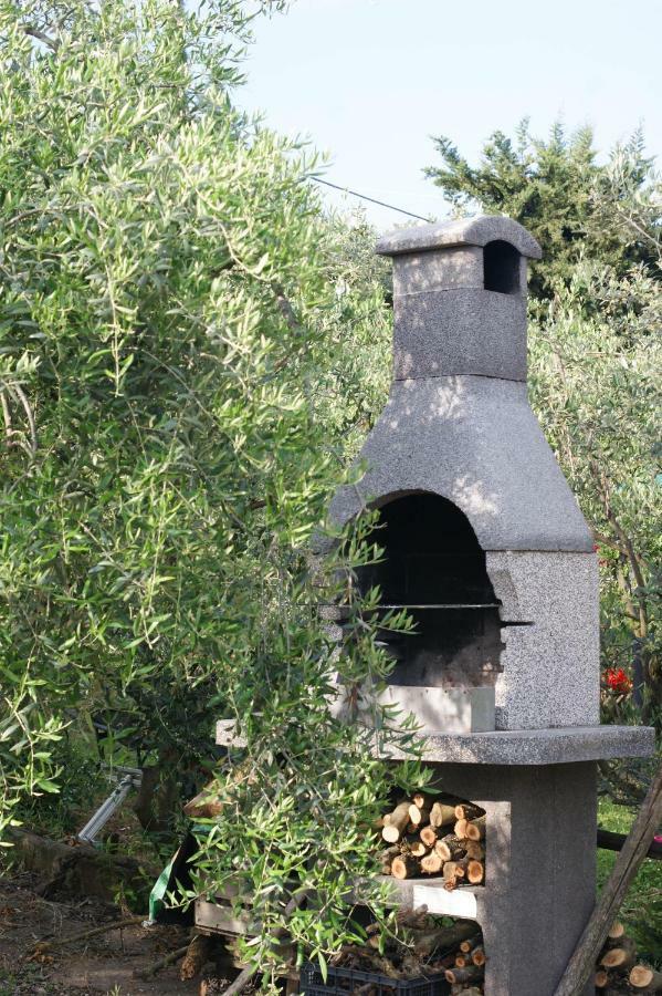 Casa Vacanze L'Oliveta Siena Exterior foto