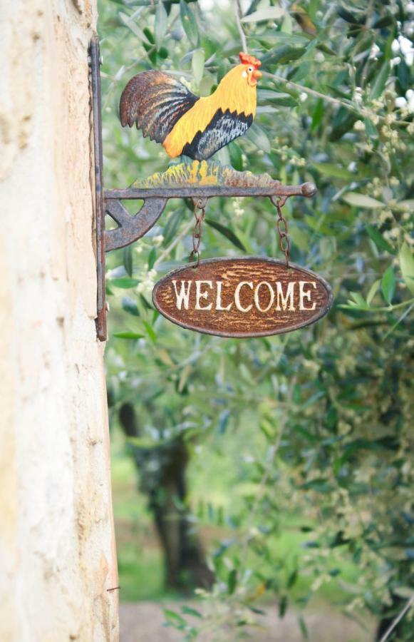 Casa Vacanze L'Oliveta Siena Exterior foto